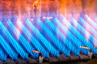 Newlandrig gas fired boilers